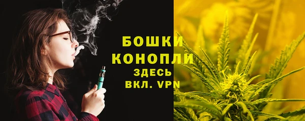 Альфа ПВП Володарск
