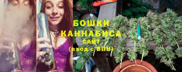 бошки Верхний Тагил
