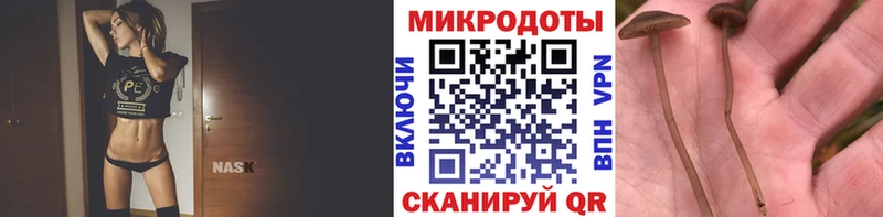 купить наркоту  Томилино  Галлюциногенные грибы GOLDEN TEACHER 